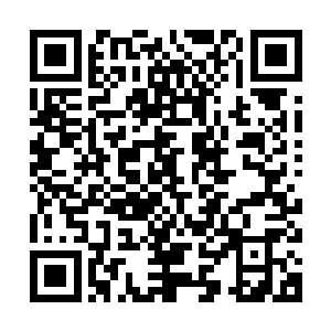 而海神殿殿主和龟族大帝盘踞在一片荒山中的消息也被人人皆知二维码生成