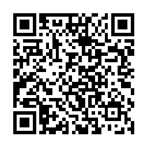 而渐渐恢复着双腿之内已经几乎快要坏死的细胞组织二维码生成
