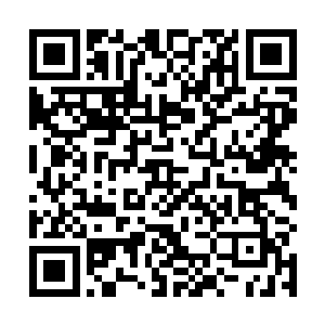 而演员人气则决定了忠实粉丝的人数――你宣传做得好二维码生成