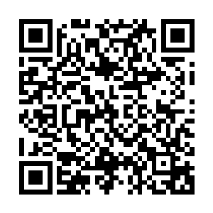 而火帝和黑祖现在也是源源不断的向着这两个罩子里面输入力量二维码生成