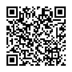 而火海之中的天尊也终于是感觉到了秦宇要杀他的决心二维码生成