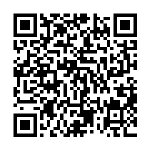 而灵隐学院的这块素灵白玉还是当初从月华学院带出来的二维码生成