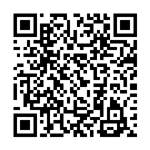 而烛龙的存在却是可以让一片区域的人都笼罩在病痛二维码生成