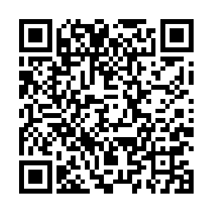 而燕千阳前辈和卫望天前辈率领勇士血战炎之峡谷之事二维码生成