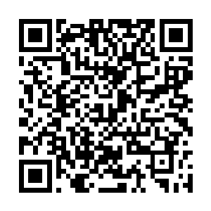 而特殊的经历让党玉的心思比常人要来得更加敏感二维码生成