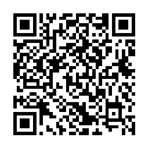 而独自前来观看电影的观众也都握住了身边陌生人的手二维码生成