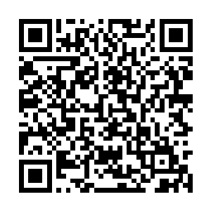 而王世子有个小女友的情况又是被炒作的人尽皆知二维码生成