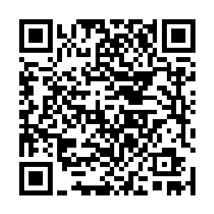 而王伦显然也不仅仅只是打下一个高丽便志得意满的人二维码生成