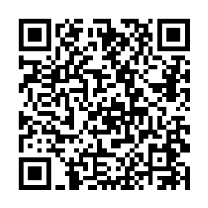 而王擎苍却是在接近天神塔第七层的时候被轰了下去二维码生成