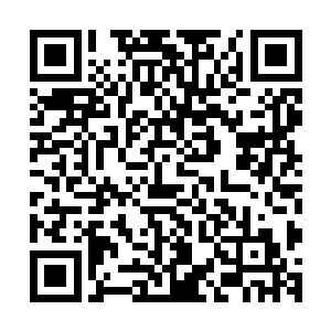 而王莽这个时候则是开始朝着周围飞射出一些带着道符的飞镖二维码生成