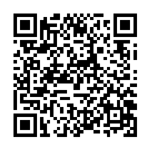 而现在他的规则是能用这种屈辱的方式换回一条小命二维码生成