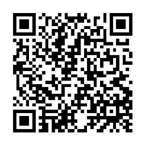 而现在就是决定孩子正确价值观人生观的关键时期二维码生成