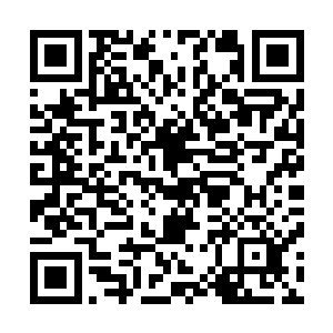 而现在归真阁已经被逼出了纷乱城若是我估计没有错误的话二维码生成