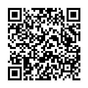 而现在整个大陆都知道落落殿下在国教学院求学二维码生成