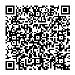 而现在最为强大的 则当属鬼王宗无疑 一代元婴大能坐镇 而且还是明面之上的接引之人 谁敢动他二维码生成