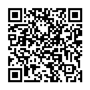 而现在的金牛圣骑只感觉自己的肚子被人用刀割开了一般二维码生成