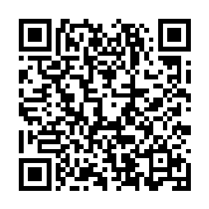 而现在看到一人一猫居然真的开始策划暗杀计划了二维码生成