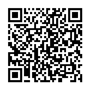 而现在让自己坚守这个信念的唯一的东西就是复仇二维码生成