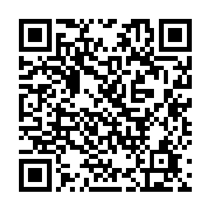 而现在这么一个跟在自己身边这么久的孩子要离开自己二维码生成