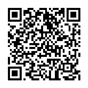 而现场大部分的观众则是发出了一阵阵的惊呼声二维码生成