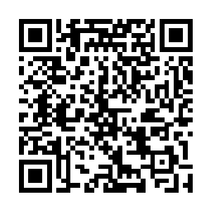 而现场的观众也同样的是一边对着镜头看秦宇写出的答案二维码生成