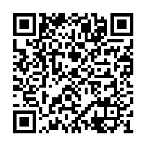 而珍妮――她已经真的不知道自己该怎么考虑了二维码生成