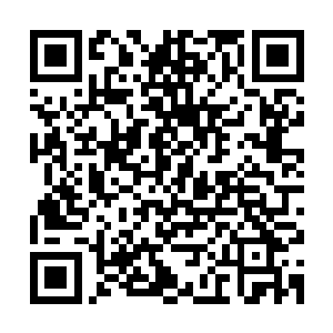 而珍妮和希斯的工作就是让曼托斯和可乐的感情变得更真实可信二维码生成