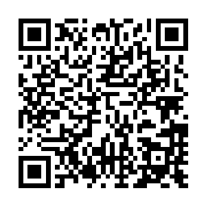 而琅琊的两条腿和周围的五龙聚气都是为了镇压那个结界的二维码生成