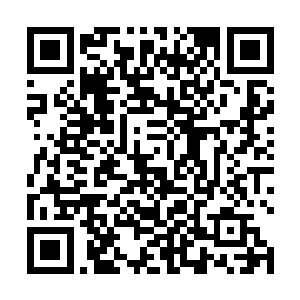 而琴瑟色的眼神和陌星子他们明显后退不会动手的姿态二维码生成