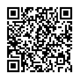 而琼楼镇委书记便派自己的弟弟陈彻亲自带人跑到临河市二维码生成