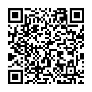 而瑶华是看到送画像的太监走出毓王府才堪堪收回关注的视线二维码生成