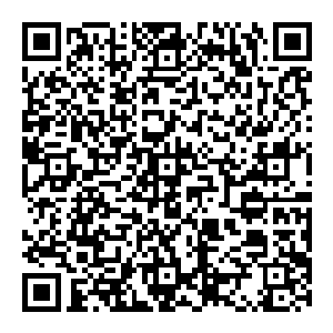 而甚至因为这所学校建起的时间实在是短了点――所以他们连期待中的那些好多学员整齐划一的操作数控设备的场面都没见到……二维码生成