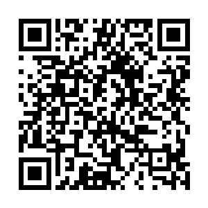 而生命的意义就是在无数谎言中寻找和修炼出唯一的真实二维码生成