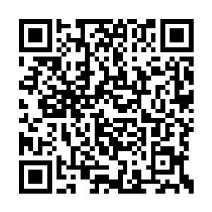 而生存在这里的渔民也只是普通而平凡的老百姓二维码生成