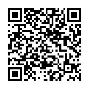 而生死走了一遭的他感觉心胸和脑袋都宽阔了不少二维码生成