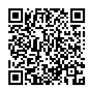 而生活在地球上的所有人都会被清洗掉上一世的记忆二维码生成