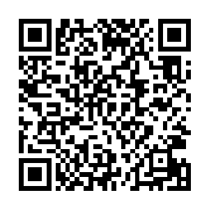 而用其他一些拥有土系力量和金系力量的虫族来凑数的话二维码生成