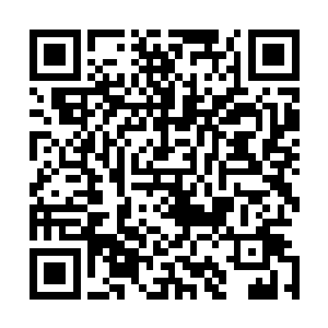 而申屠家的人则查看那两堆小山丘般的灵石以及丹药和剑器二维码生成