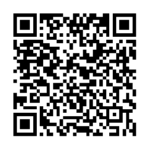 而留守一拨黑脉天仙失去轮替后很易被敌人集中猛攻二维码生成