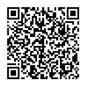 而白兰这个智商情商都不能说低的大好青年却仍然没能脱离熊孩子状态二维码生成
