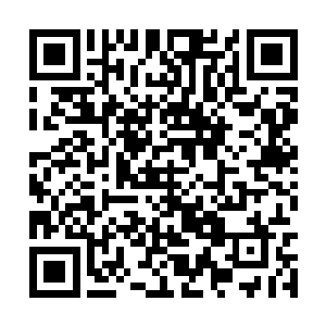 而白子河整个人因为这突然的袭击一下没反应过来二维码生成