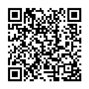 而白家的人则是将所有的目光都放在了白谨的身上二维码生成