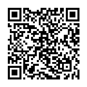 而白衣大教主李远成和他的黑衣教徒们却是吓了一跳二维码生成