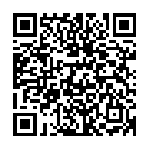 而白谦心只能够依靠着应龙鼎的力量去化解着一道又一道的雷光二维码生成