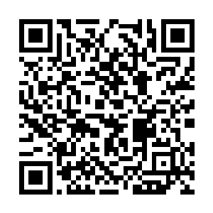 而白雾所过之处的白蚁均在瞬间陷入麻痹昏迷状态二维码生成