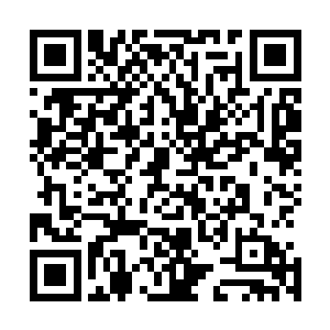 而看车上的云思凡看着自己住的酒店过了顿时便看向了苏凡二维码生成