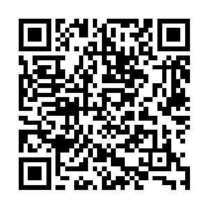 而真正促使当初天地洪炉自动收集仙灵绿壤土和月华灵液的二维码生成