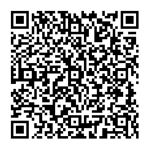 而真正给县区这一级干部留下的印象更多的是他在苏谯的犁庭扫穴以及在市公安局掀起的风暴二维码生成