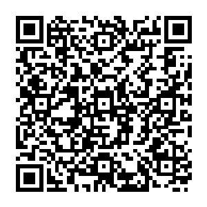 而眼下 伊莎贝拉只剩一个人 所以 要么她别死 要么她就必须赶紧生孩子作王室的传承二维码生成