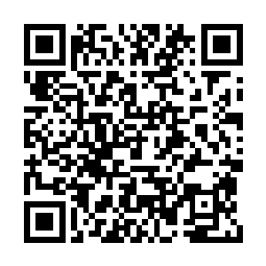 而眼下他已经下定决心要和这些入侵者来个了断二维码生成